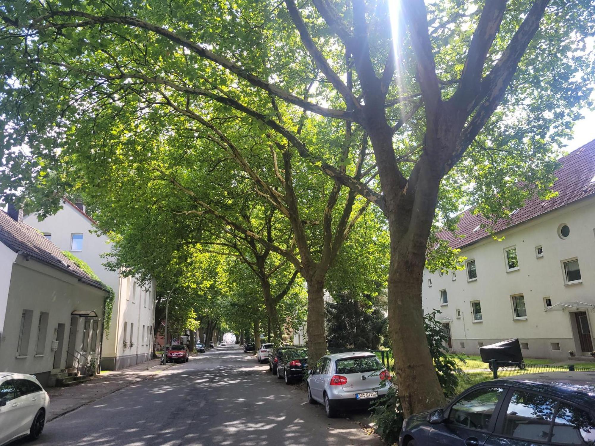 Get-your-flat - 155, 2 Zr Kue & Traum-retro-bad, Cosy & Super Sweet, Stadtnah & Ruhig, Hund Nur Auf Anfrage, Apartment